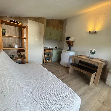 Au Pied Des Pistes Appartement